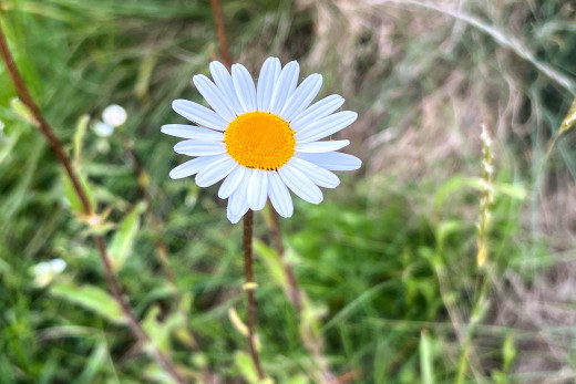 1738927 (a): :2560x1707